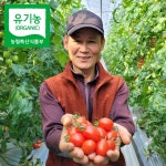 당일수확 향농원 유기농 대추방울토마토 2kg 4kg : 유기농 향농원