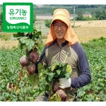 전남 해남 100% 유기농 레드비트 ABC주스 샐러드 산지직송 5kg, 1개 : 엘도-ELDO