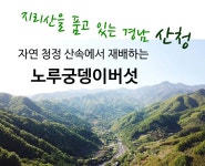 국내산 노루궁뎅이버섯즙 80ml 30포 : 라이프 by 힐링스타일