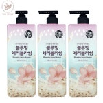 온더바디 플라워 블루밍 체리블라썸 바디워시g 900 3개입 : 와이엔비 스토어
