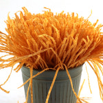 티앤티푸드 프레시피쉬 500g : 홈스퀘어