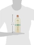아베다 로즈마리 민트 샴푸 250ml 2팩 : NL컴퍼니