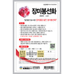 장미봉선화 20립 씨앗 /소담 쌍자엽식물 여러색꽃 꽃씨 키우기 씨앗심기 : 팜가든랜드