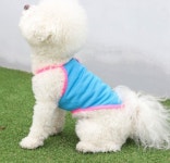 강아지 여름옷 비비드팝 메쉬 깜찍한 쿨나시 중형견 대형견옷 끈나시 : 다온블라썸