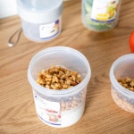 그릭요거트도시락 샐러드 도시락통 : 메종모네