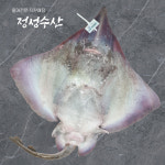 흑산도 홍어 한마리 (5kg~8kg) : 목포정성수산