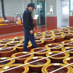 [무안1번중매인] 전남 무안 생물 뻘낙지 [위판장 산지직송] : 담미소