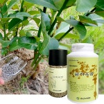 꽃 난 화초 분재 다육 화분 식물 영양제 금지옥엽 800ml 250ml : 증산고령토화분영양제