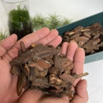 마오리 가든 바크 나무껍질 나무조각 바닥재 멀칭 조경 소포장 지퍼백 2L 대성식물 : 대성식물