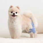 프로젝트21 밸런스핏플러스 강아지 관절 슬개골탈구 보호대 무릎 밴드 양쪽 세트 L : 프로젝트21스토어