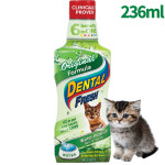 고양이 마시는치약 가글 덴탈워터 물에타는 시너지랩 덴탈후레쉬 오리지널 고양이용 236ml : 와일리캣