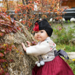 출장돌상 예약창 : 온더돌상