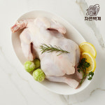 자연백계 생닭 삼계탕 백숙용 1kg 외 2종 택1 : 정담스푼