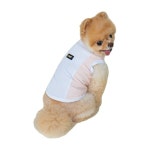 D11 애견 옷 래쉬가드 쿨링티셔츠 핑크 4114인의선택 : 온달커머스