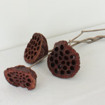 연자 핸드메이드 드라이플라워 : MOCON 모콘