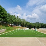 인조잔디 매트 베란다 테라스 방염 인공 CX1600C 2mX3m : 홈그린월드