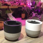 테라스톤팟 블랙 투톤 원형 화분 식물 난 화초 장식 : 링크트랙