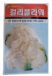 2023년 컬리플라워씨앗 50립 콜리플라워씨앗 컬리플라워 Cauliflower 브로콜리 아람종묘 : 적린