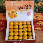 제주 맛보장 고당도 하우스감귤 : 트러스트앤컴퍼니