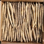 더덕 생더덕 피더덕 중국산더덕 식당납품더덕 반찬가게납품더덕 싼더덕 업소용 급식 도소매 : 거평농수산