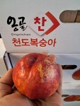 (과일천국1번지) 새콤달콤 천도 복숭아 5kg - 1박스 : 과일판매