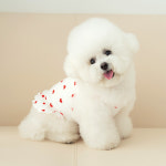 강아지옷 강아지여름옷 러브프릴나시티 : 펫츠랜드