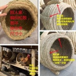 산란장 닭 알낳는집 볏짚 지푸라기 달걀 계란 새장 : 오전다섯시