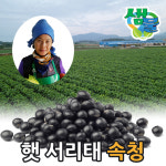 해남 햇서리태 속청 검은콩 5kg 10kg 20kg 40kg : 땅끝해남 박혜정샘물농장