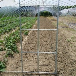 비닐하우스 문 온실 여닫이 도어 게이트 스틸 프레임 : 신문물 스토어