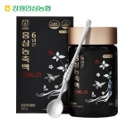 강원 인삼 농협 홍삼 농축액 진세노25 240g 6년근 진액 100% 달임액 홍삼정 부모님 선물 : 홍천앤