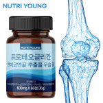 프로테오글리칸 콘도로이친 연어코연골 추출물 프리테오글리칸 구절초 우슬 600mg : 뉴트리영