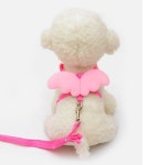 천사날개 강아지 고양이 하네스 가슴줄 : 차마니코리아
