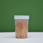 굿프렌드 스마트팜 동충하초 생초 200g, 굿프렌드 국내산 동충하초 생초 : 주식회사 굿프렌드