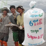 [육형제 배송] 신안 천일염 20kg / 6형제소금밭 굵은소금 햇소금 : 다운스토어