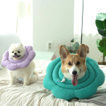 강아지 넥카라 고양이 쿠션 애견 깔대기 목보호대 중성화 넥카라 마리카라XS : 이드몽
