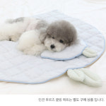 강아지 아이스팩 베개 쿨 파우치 여름방석 후르츠 : 나나네스토어