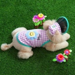 패리스독 티니스마일썬캡티세트 시원한 강아지쿨나시 귀여운 강아지쿨티 : 레디펫고