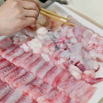 흑산도홍어 암치 1kg 목포 국내산 회 삭힌홍어 : 촌NoM