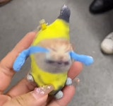해피캣 키링 인형 소리나는 바나나캣 열쇠고리 고양이 밈 banana happy cat : 엣더타임