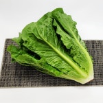 야채왕 통로메인 300g : 야채왕