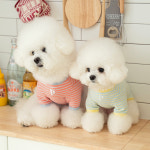 [1+1] 강아지실내복 강아지옷 앨리스 티셔츠 : 펫츠랜드