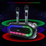음향기기 거실 블루투스 무선 스피커 버스킹 휴대용 노래방 마이크 스피커 라디오 USB : 털보만물상회
