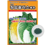 오스템바이오 청암플러스배추 1,000립 종자 씨앗 : 씨드앤쏘일