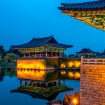 경북e누리 경주 MCY파크+동궁과월지 : 경북여행몰