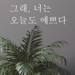 그래 너는 오늘도 예쁘다 감성 문구 글귀 현관문 벽 레터링 스티커 : 단비데코