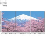 후지산 벚꽃 그림 액자 거실 카페 인테리어 벽걸이 집들이선물   (61X40cm) : tapanta