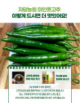 롱그린고추 특품 1kg : 충주자담농원
