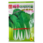 서울배추 씨앗 30g 아시아서울 배추 종자 텃밭야채 김장채소 23년산 행복이네 : 행복이네농약농자재