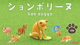 키탄클럽 슬픈 멍뭉이 시바견 6종 세트 캡슐토이 가샤폰 가챠 : 세젤귀 잡화상