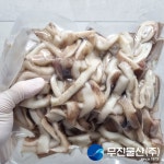 볶음용 튀김용 원양산 절단 오징어 1kg 단백질 선동 수입 냉동 : 무진물산